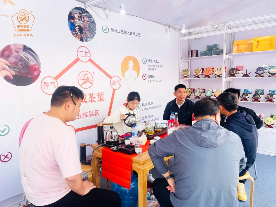 權威茶葉&2024广州马术周，臻享一场顶级味蕾盛宴